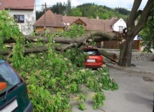 Kwikfynd Tree Cutting Services
rouchel