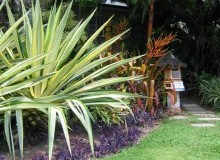 Kwikfynd Tropical Landscaping
rouchel